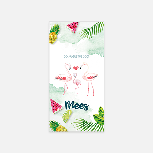 Lortye Geboortjekaartje 039a Mees