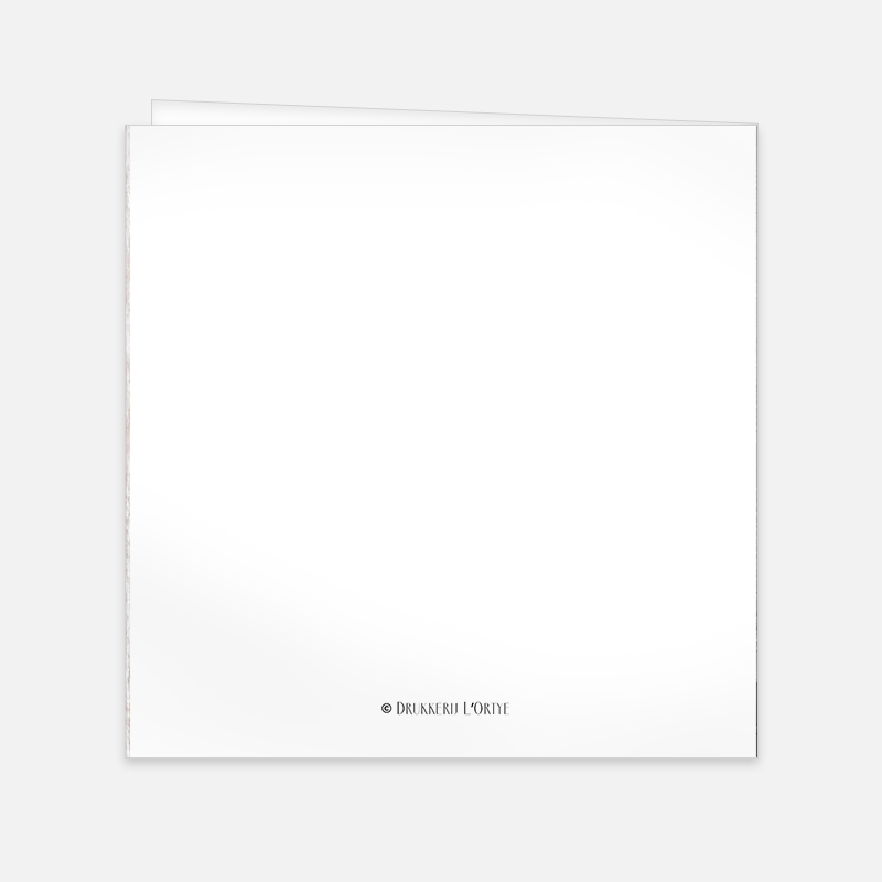 Lortye Communiekaart 039 Communiekaart Joost